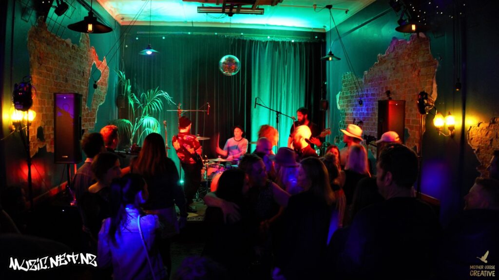 Devils Elbow W/ Music Dog + Sarah Wiig @ Common Room, Hastings 17/04/2021