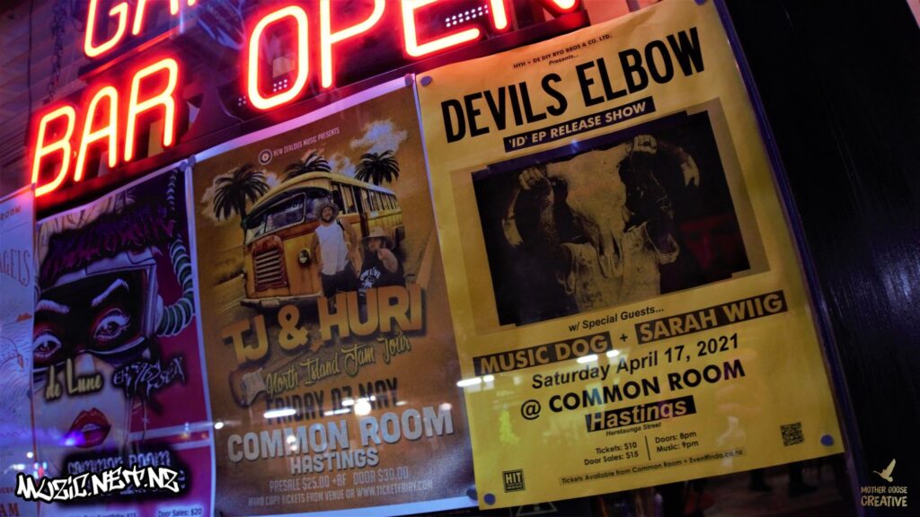 Devils Elbow W/ Music Dog + Sarah Wiig @ Common Room, Hastings 17/04/2021