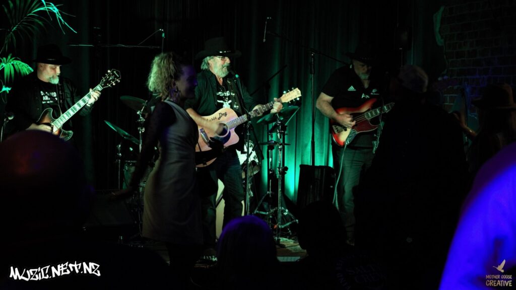 Devils Elbow W/ Music Dog + Sarah Wiig @ Common Room, Hastings 17/04/2021