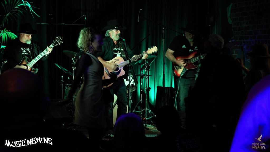 Devils Elbow W/ Music Dog + Sarah Wiig @ Common Room, Hastings 17/04/2021