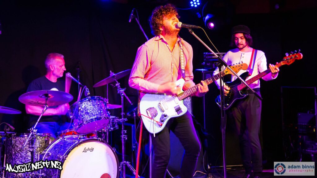 Diana @ The Captain Cook Hotel, Dunedin 22/11/2018