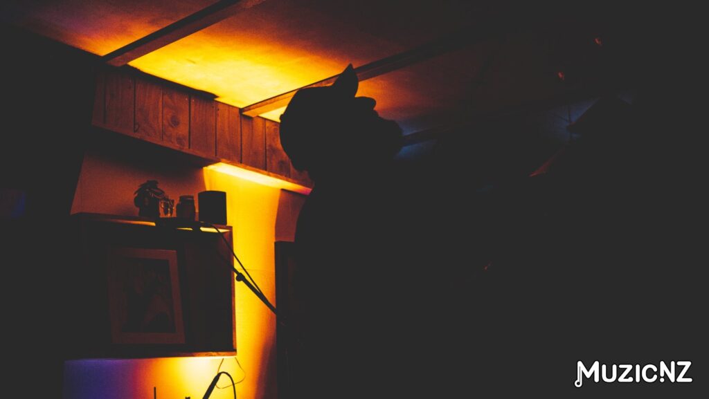 East York @ Rhyme X Reason Brewery, Wanaka 24/01/2025