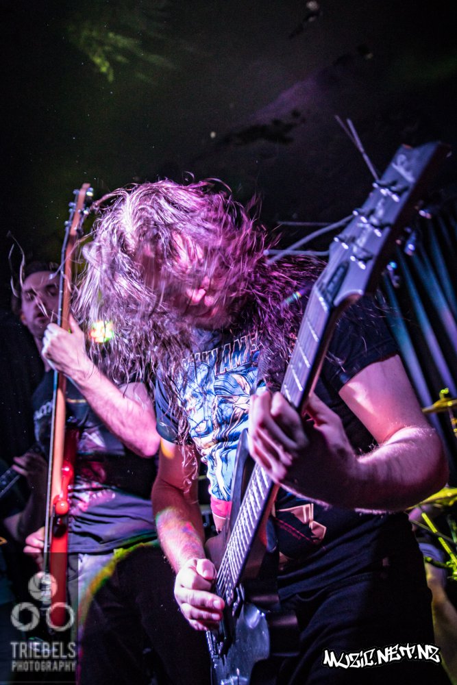 Fall Of Them @ Darkroom, Christchurch 25/05/2019