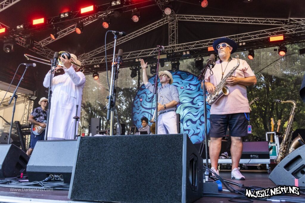 Fat Freddy's Drop @ Williams Park, Wellington 20/01/2020
