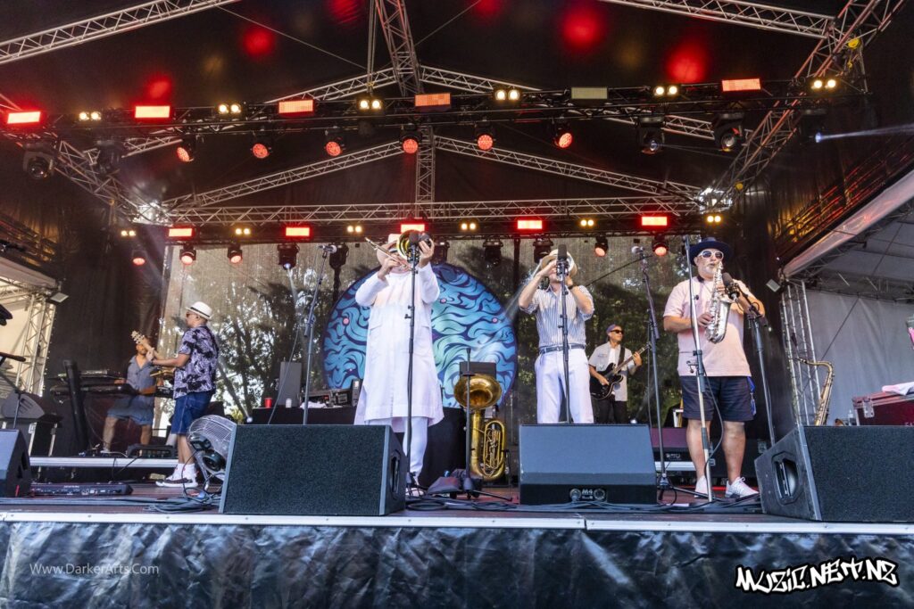 Fat Freddy's Drop @ Williams Park, Wellington 20/01/2020