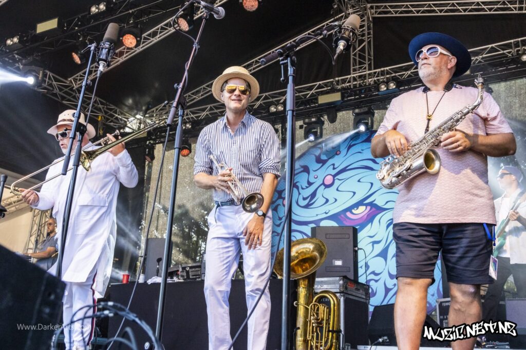 Fat Freddy's Drop @ Williams Park, Wellington 20/01/2020