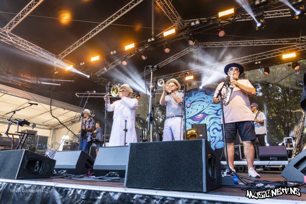 Fat Freddy's Drop @ Williams Park, Wellington 20/01/2020