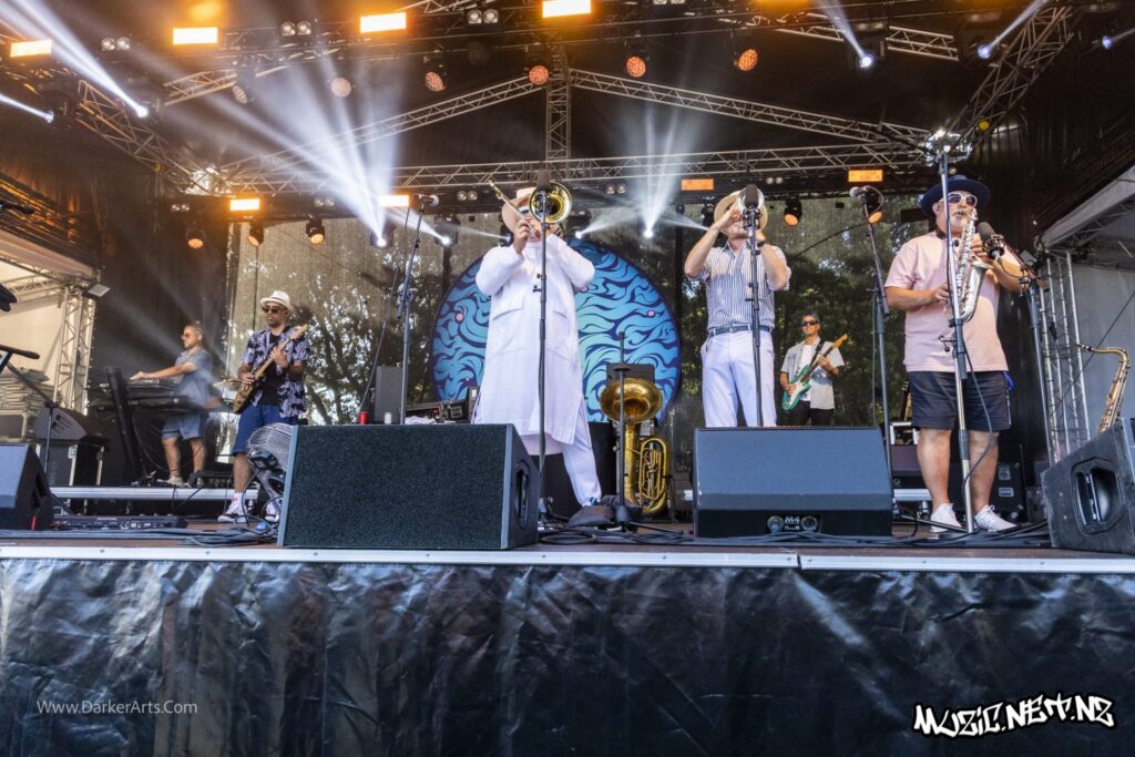 Fat Freddy's Drop @ Williams Park, Wellington 20/01/2020