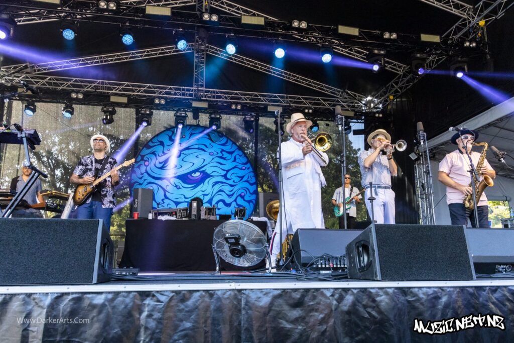 Fat Freddy's Drop @ Williams Park, Wellington 20/01/2020