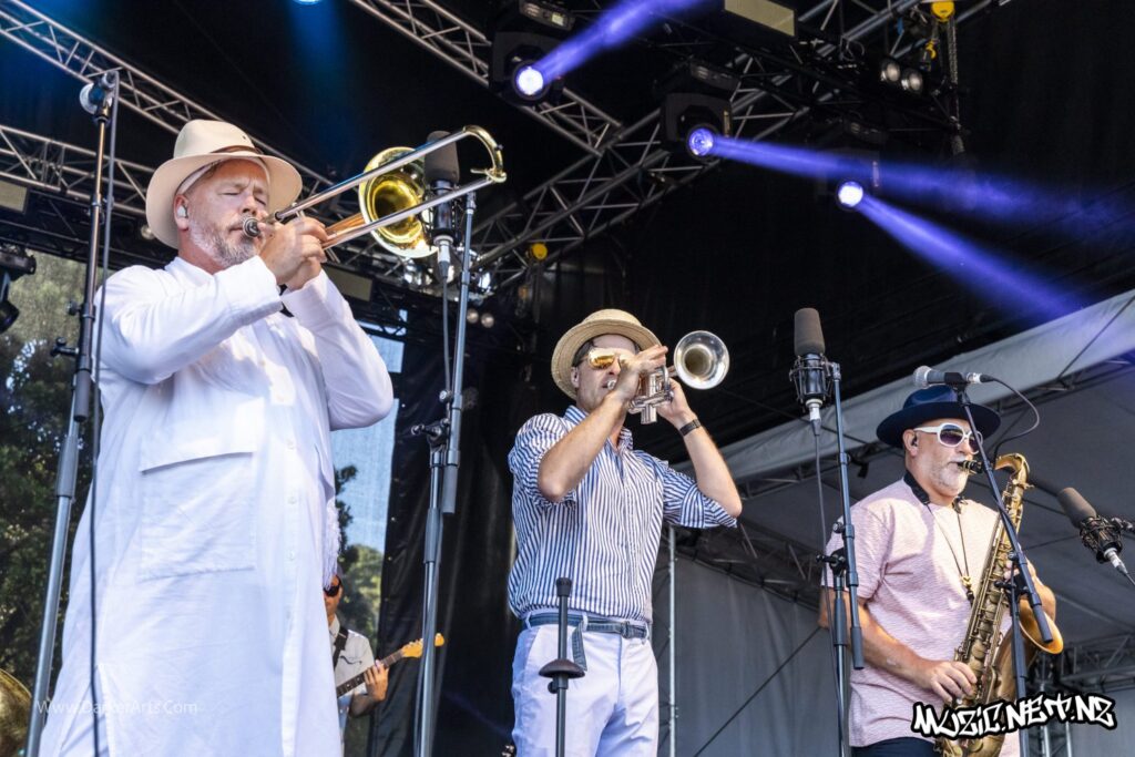 Fat Freddy's Drop @ Williams Park, Wellington 20/01/2020