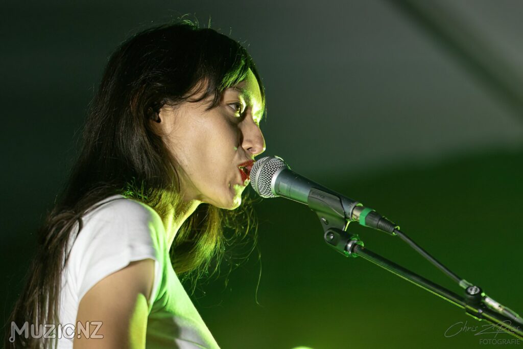 Fazerdaze @ Galatos Outdoor Stage, The Others Way, Auckland 01/12/2023