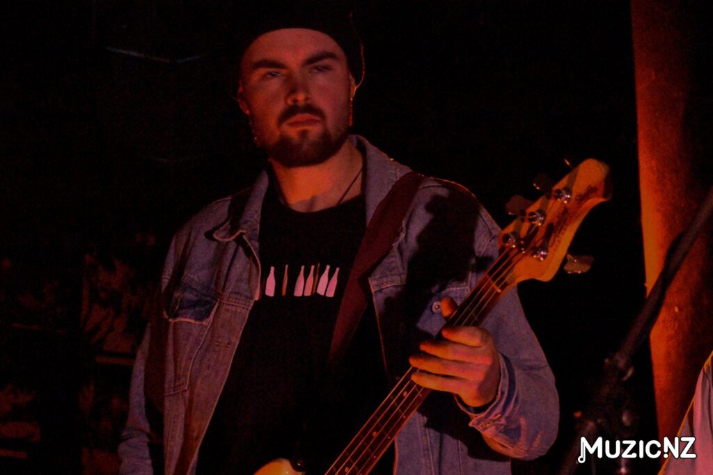 Frog Mouth @ Mesoverse, Hamilton 15/06/2024
