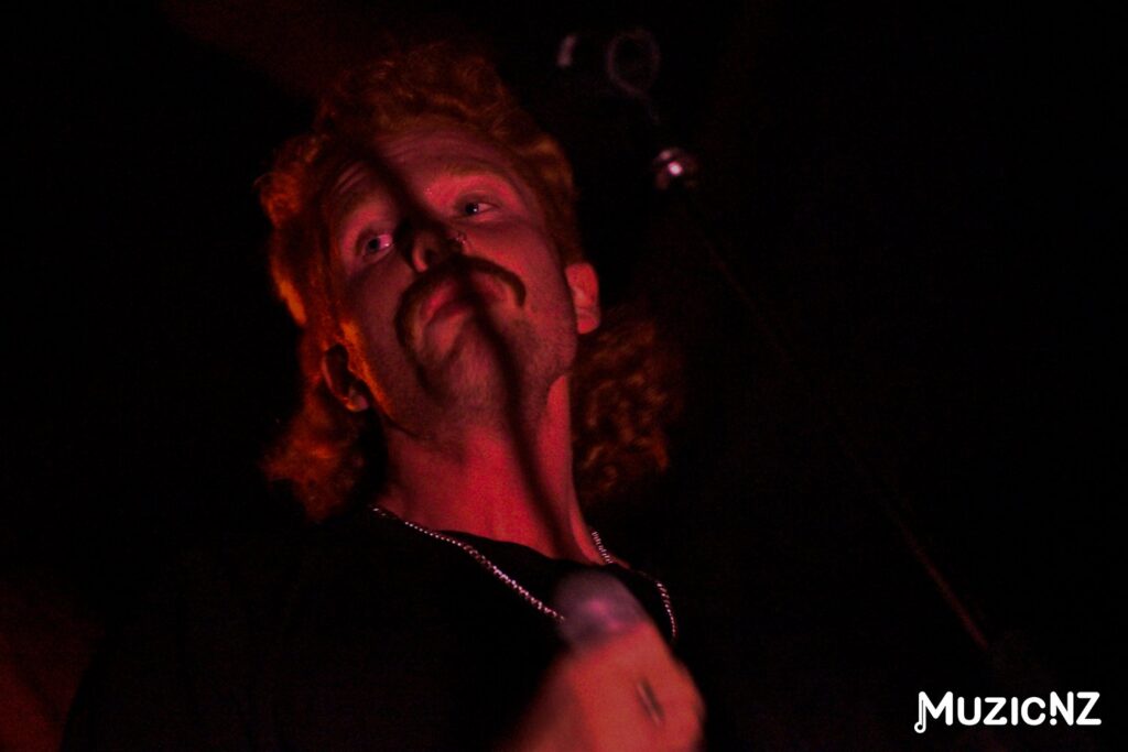 Frog Mouth @ Mesoverse, Hamilton 15/06/2024