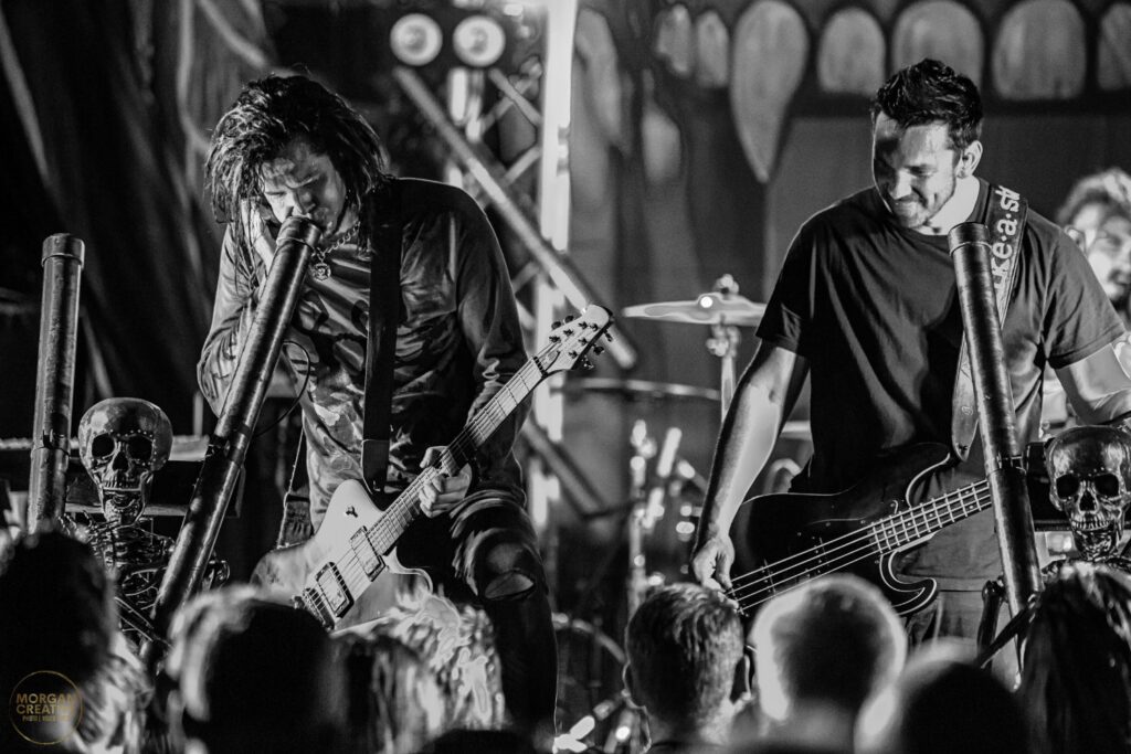 Like A Storm @ Galatos, Auckland 14/03/2020
