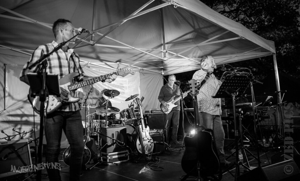 Midge Marsden @ Music In Parks, Blockhouse Bay Beach, Auckland 15/02/2019