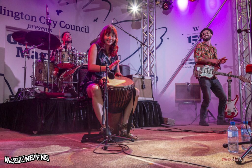 Mundi @ Botanical Gardens, Wellington 9/01/2019