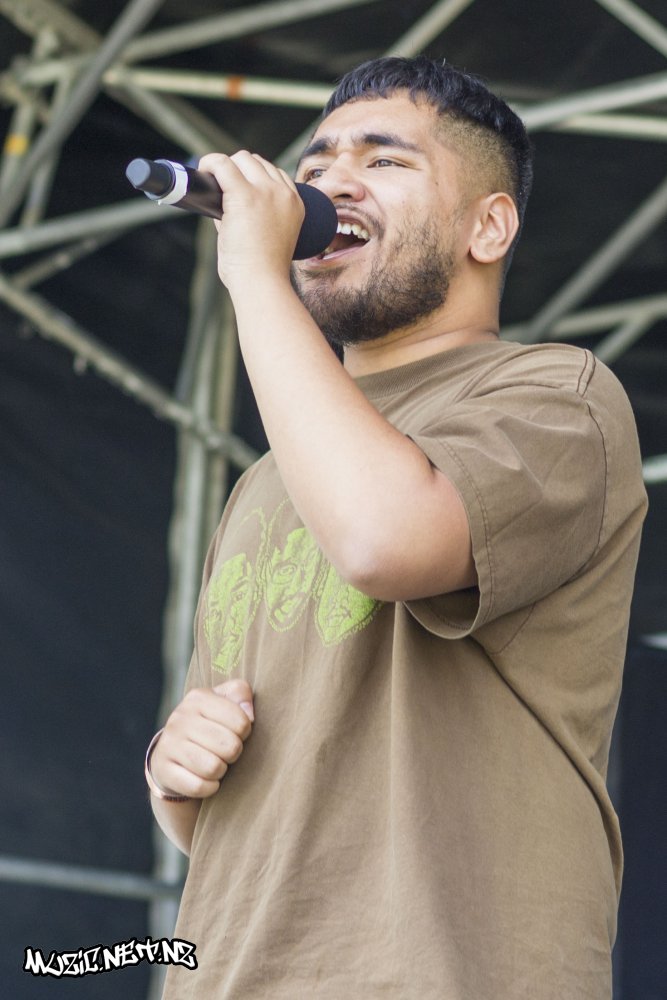 Music In Parks: Flava Urban Beats @ Hayman Park, Manukau 14/03/2020