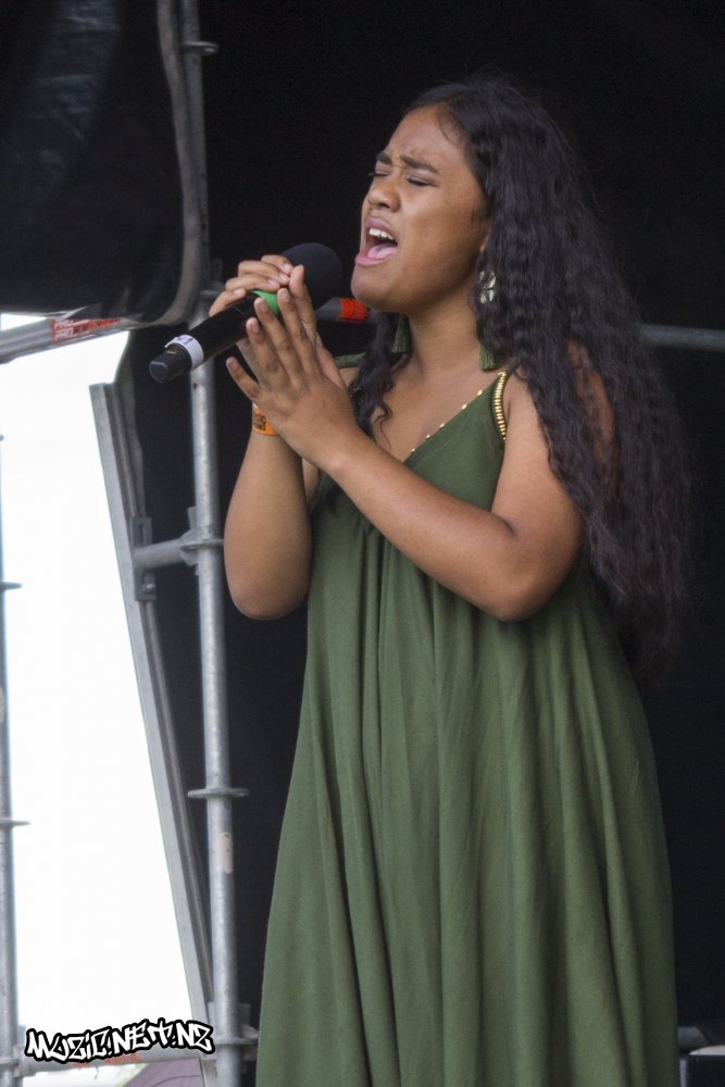 Music In Parks: Flava Urban Beats @ Hayman Park, Manukau 14/03/2020