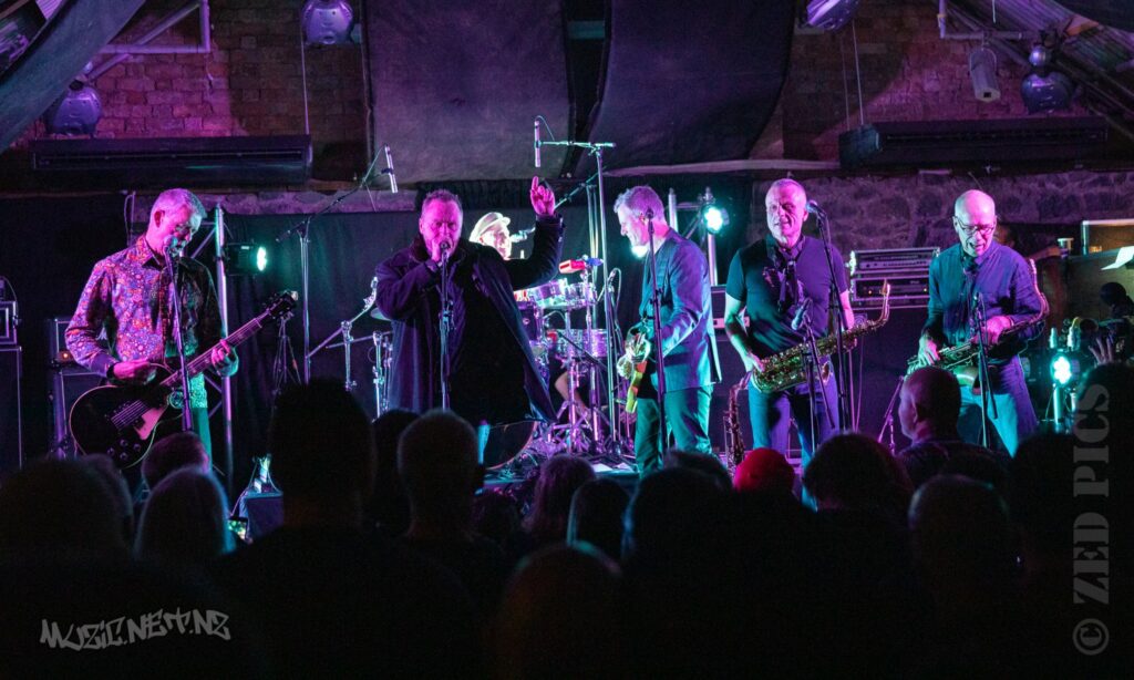 Newmatics @ Punk It Up Iv @ Zwines (bluestone Room), Auckland 25/05/2019