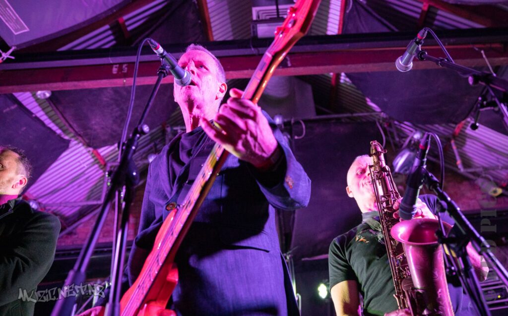 Newmatics @ Punk It Up Iv @ Zwines (bluestone Room), Auckland 25/05/2019