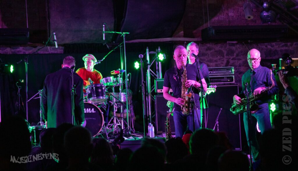 Newmatics @ Punk It Up Iv @ Zwines (bluestone Room), Auckland 25/05/2019