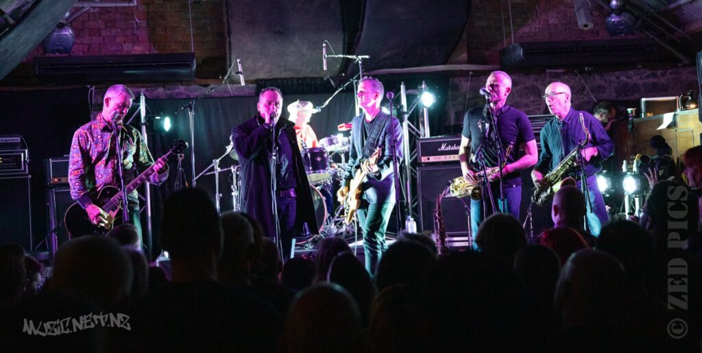 Newmatics @ Punk It Up Iv @ Zwines (bluestone Room), Auckland 25/05/2019