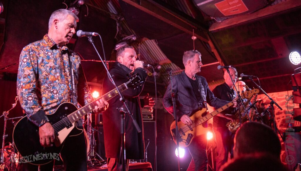 Newmatics @ Punk It Up Iv @ Zwines (bluestone Room), Auckland 25/05/2019