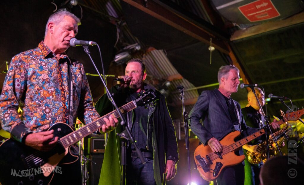 Newmatics @ Punk It Up Iv @ Zwines (bluestone Room), Auckland 25/05/2019