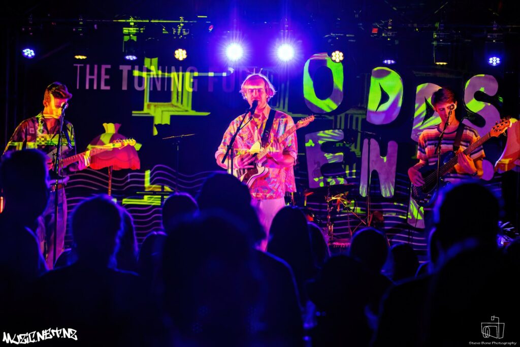 Odds & Ends @ The Tuning Fork, Auckland 19/11/2022