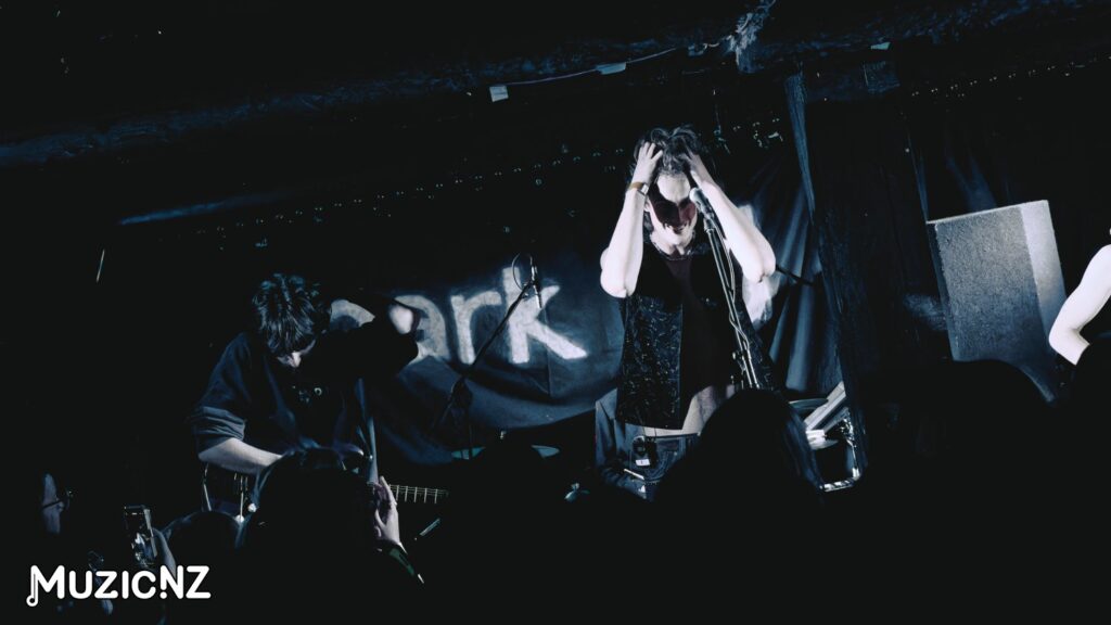 Park Rd @ Whammy Bar, Auckland 02/08/2024
