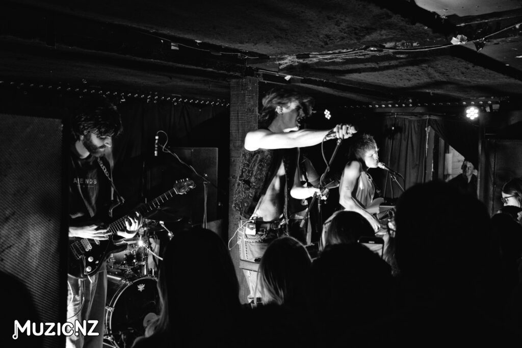 Park Rd @ Whammy Bar, Auckland 02/08/2024