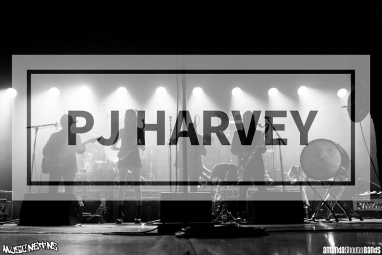 Pj Harvey 24 Jan 2017 @ Logan Campbell Centre