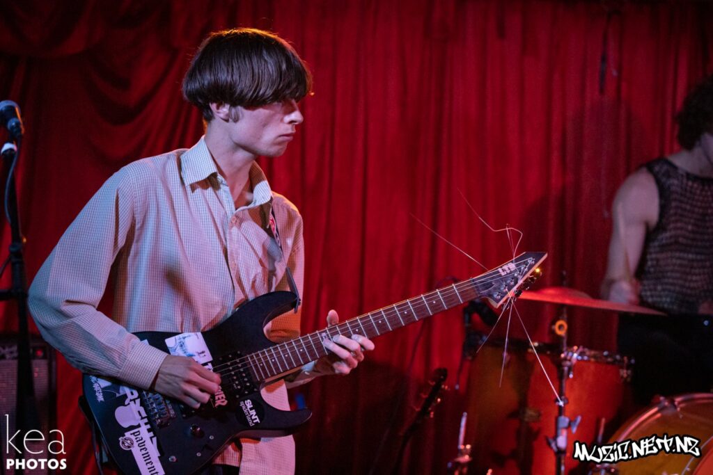 Porpoise @ Dive, Dunedin 19/02/2021