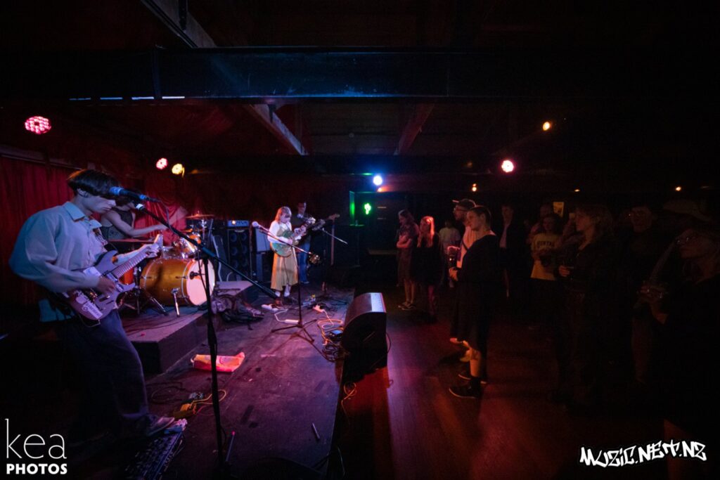 Porpoise @ Dive, Dunedin 19/02/2021
