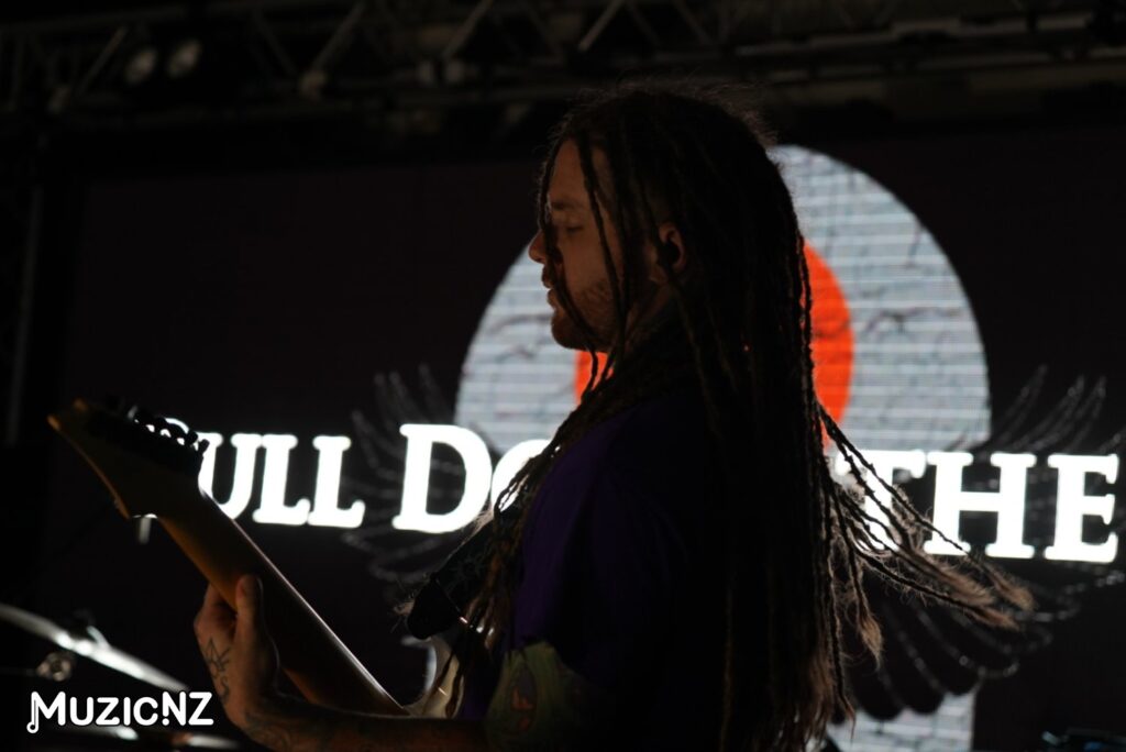 Pull Down The Sun @ Franks Bar, Whanganui 15/11/2024