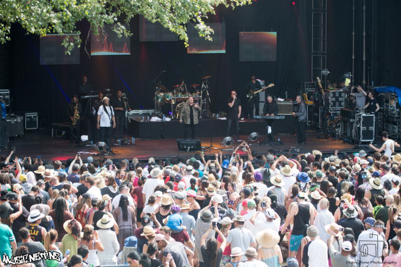 Reggae By The River 2016 Taupo
