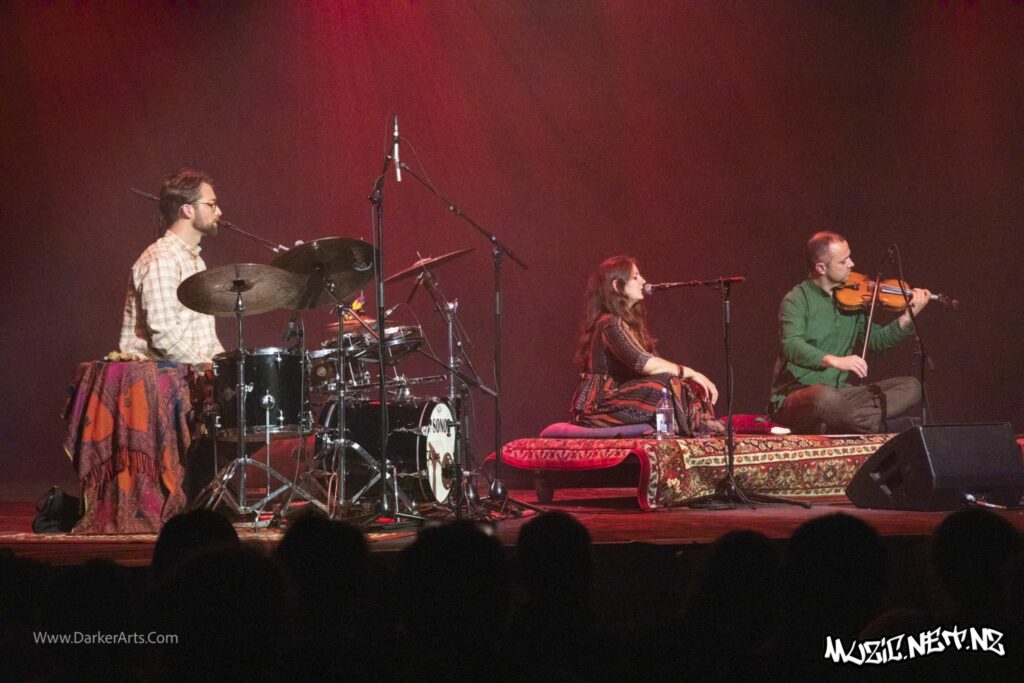 Shades Of Shakti @ Shed 6, Wellington 13/03/2020