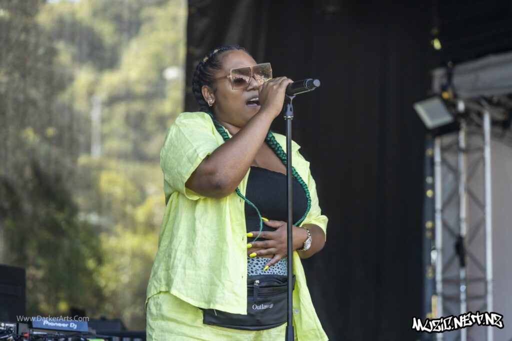 Silva Mc @ Williams Park, Wellington 20/01/2020