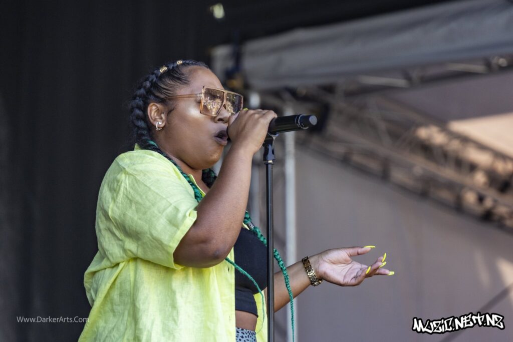 Silva Mc @ Williams Park, Wellington 20/01/2020
