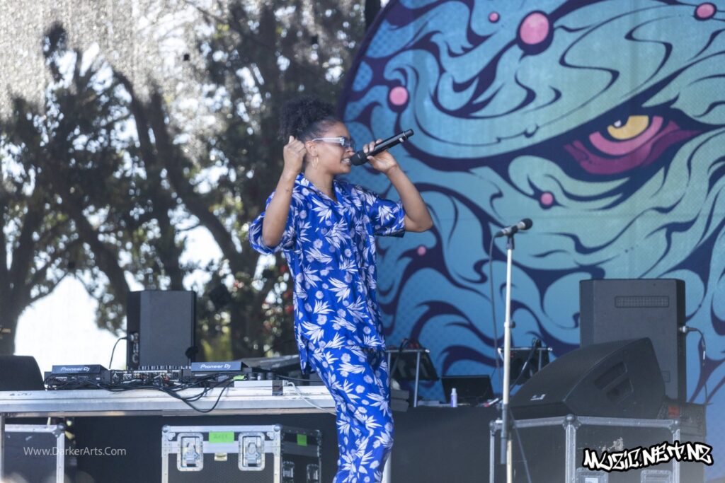 Silva Mc @ Williams Park, Wellington 20/01/2020