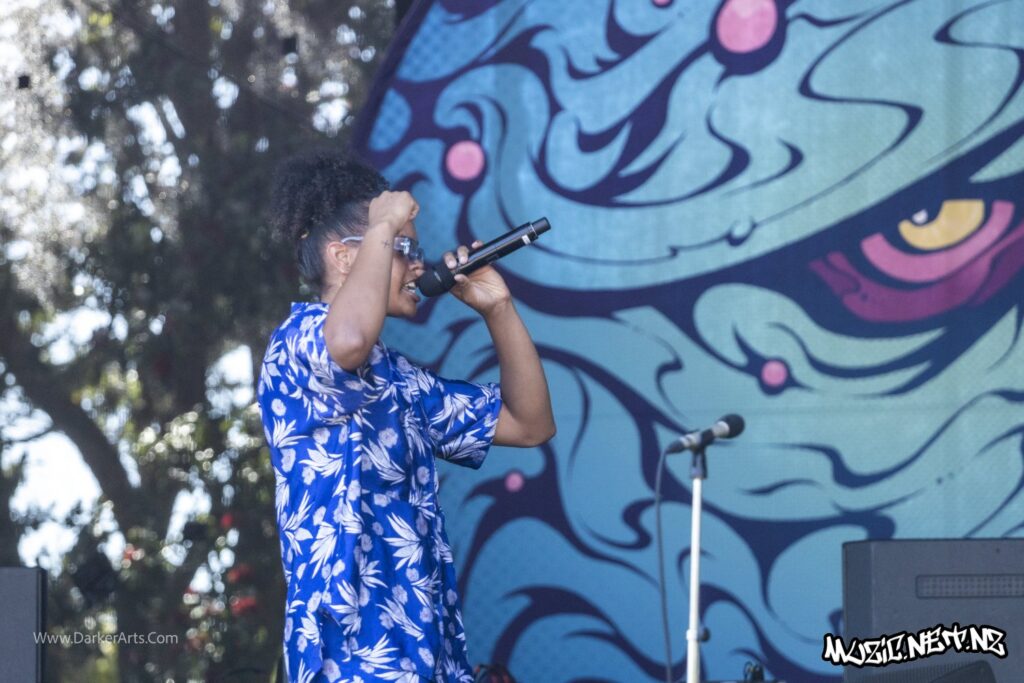 Silva Mc @ Williams Park, Wellington 20/01/2020