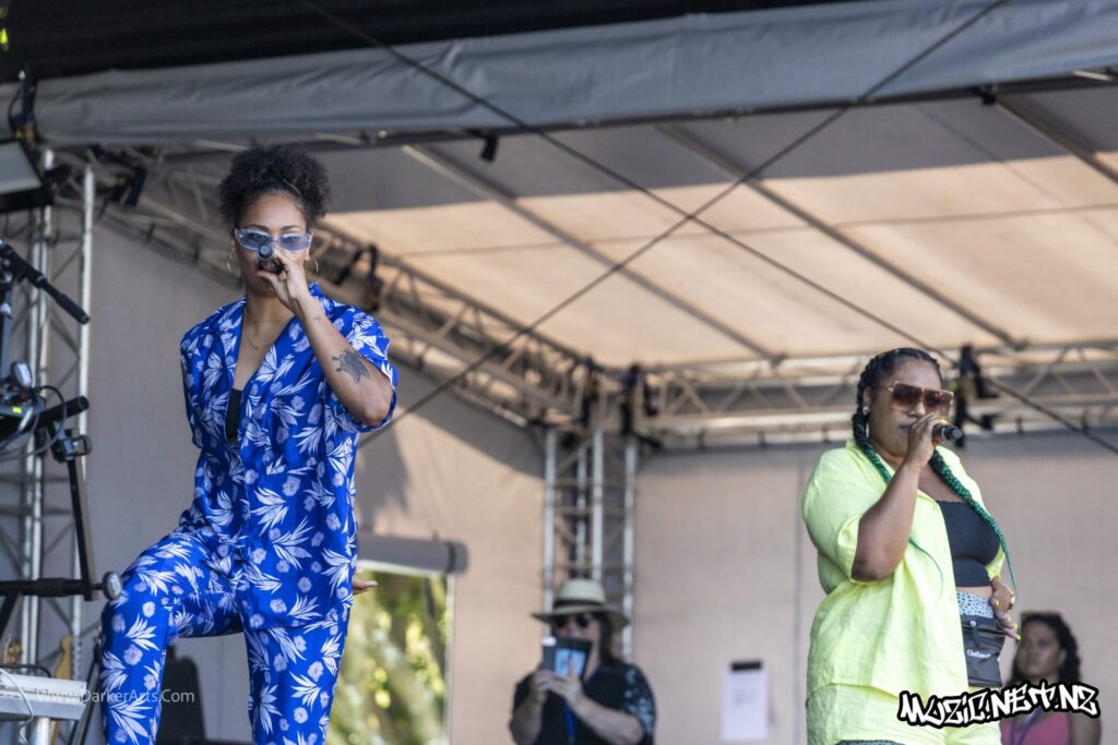 Silva Mc @ Williams Park, Wellington 20/01/2020