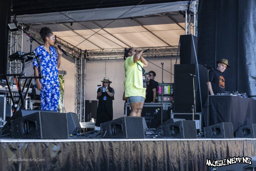 Silva Mc @ Williams Park, Wellington 20/01/2020