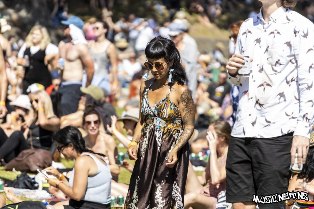 Silva Mc @ Williams Park, Wellington 20/01/2020
