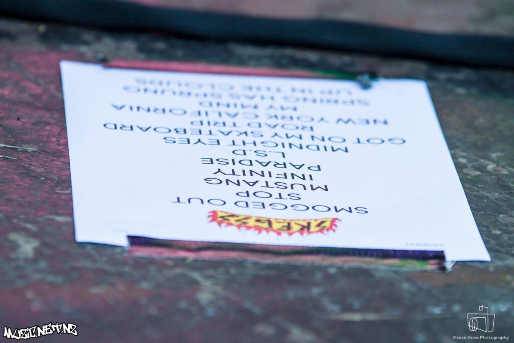 St Jerome's Laneway Festival @ Albert Park, Akld 28/01/2019