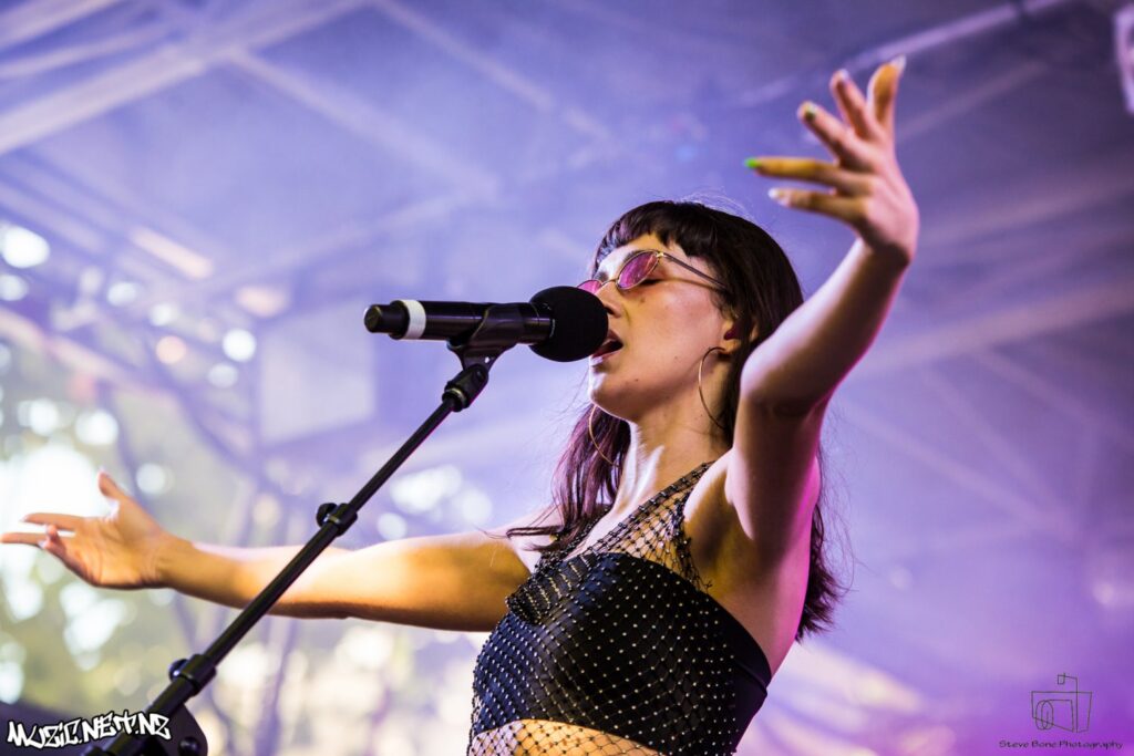 St Jerome's Laneway Festival @ Albert Park, Akld 28/01/2019