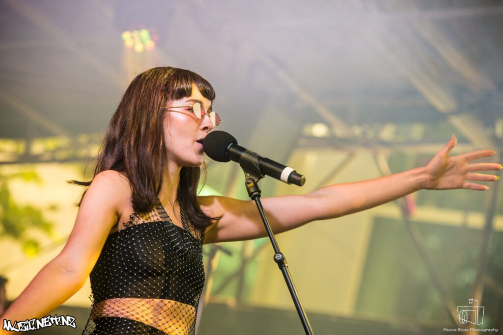 St Jerome's Laneway Festival @ Albert Park, Akld 28/01/2019