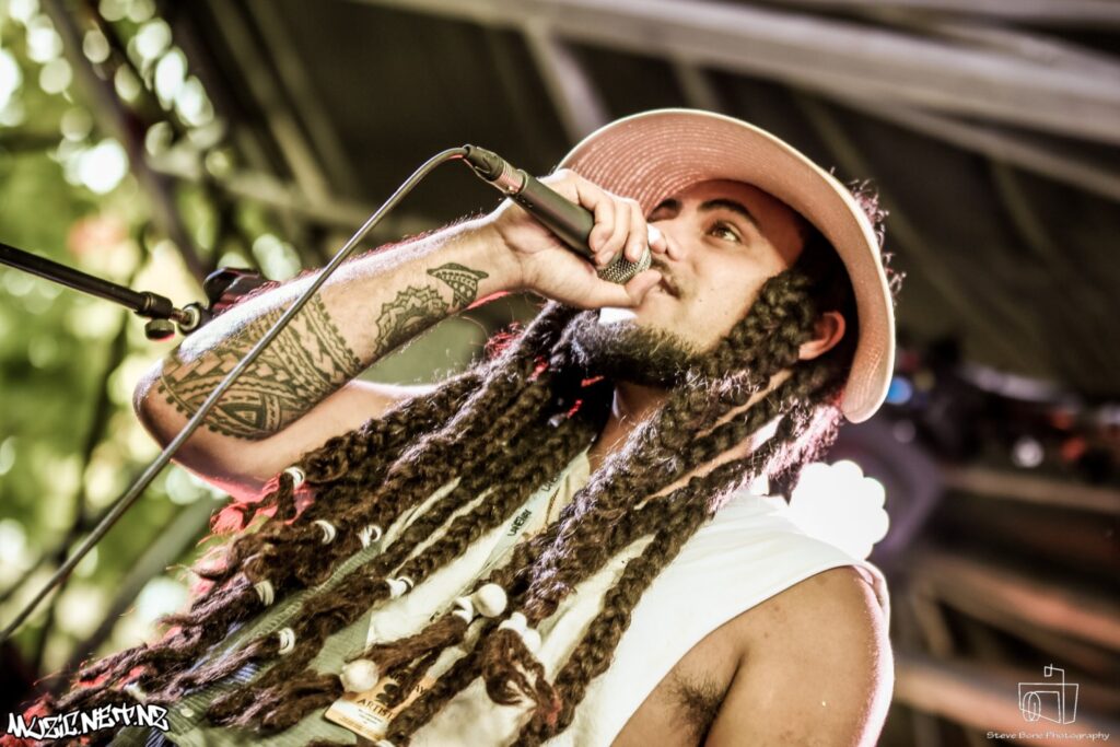 St Jerome's Laneway Festival @ Albert Park, Akld 28/01/2019