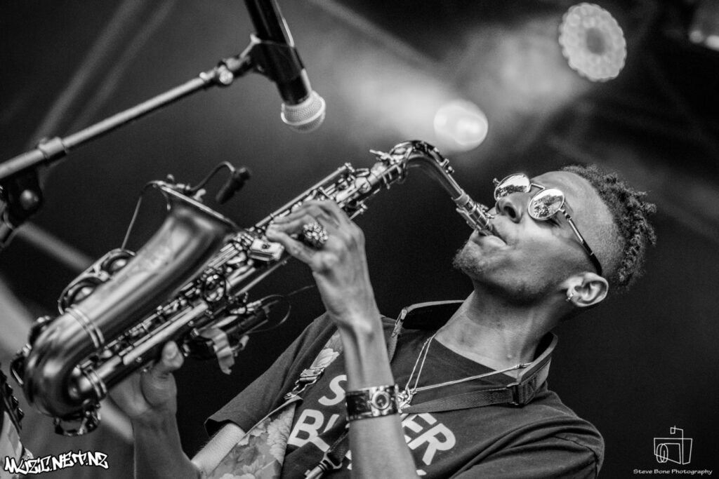 St Jerome's Laneway Festival @ Albert Park, Akld 28/01/2019