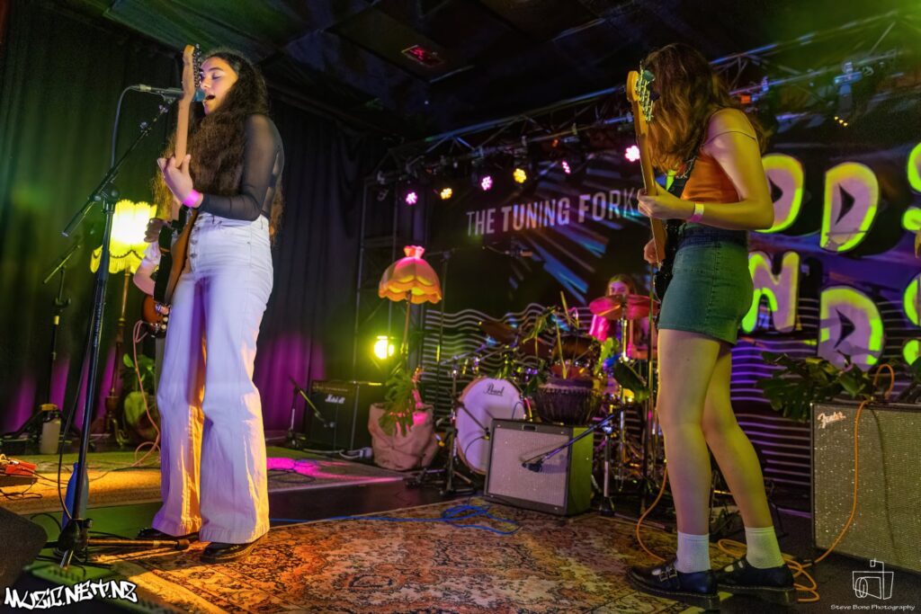 The Dawns @ The Tuning Fork, Auckland 19/11/2022